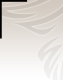 Profilbild Siegrid Laugsch